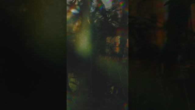 Лесная сказка Первоуральск.