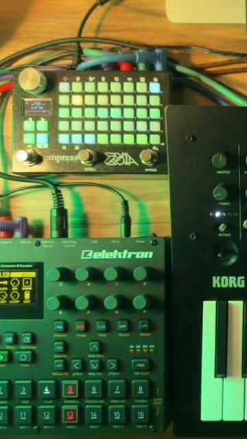 Nights jam melody on Minilogue XD and Digitakt with pedal ZOIA #zoia #empresseffects #digitakt