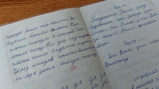 Проверка тетрадей по русскому языку