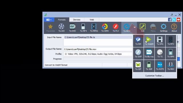 How to Convert TS to WebM