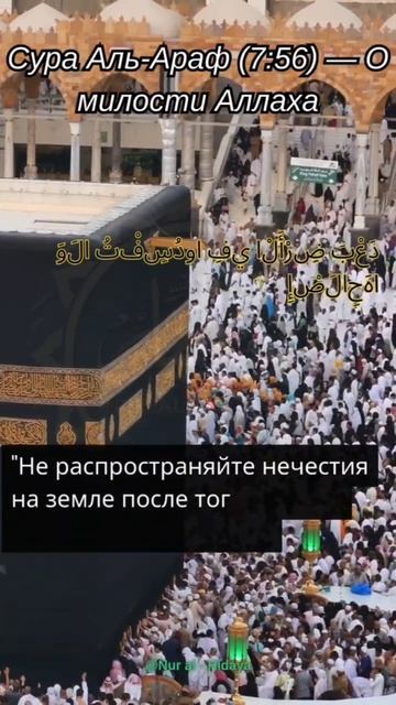 Сура Аль - Араф