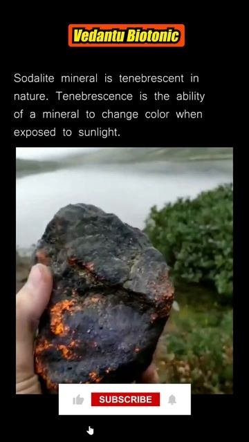 ✨ SODALITE  MINERAL Is Tenebrescent In NATURE 🗿 #sodalite #sodalitemineral #shorts @BiologyNEET