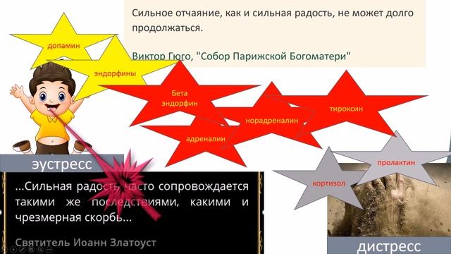 Лекция 9. Гормональная ЗАВИСИМОСТЬ♀️: что это такое♀️  и как из нее выйти♀️