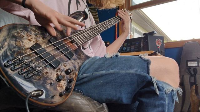 BORN OF OSIRIS - FOLLOW THE SIGNS (camera audio) BASS COVER
