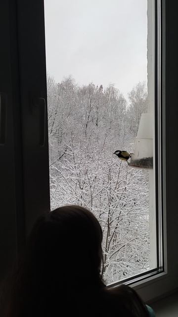 Девочка и птички ...