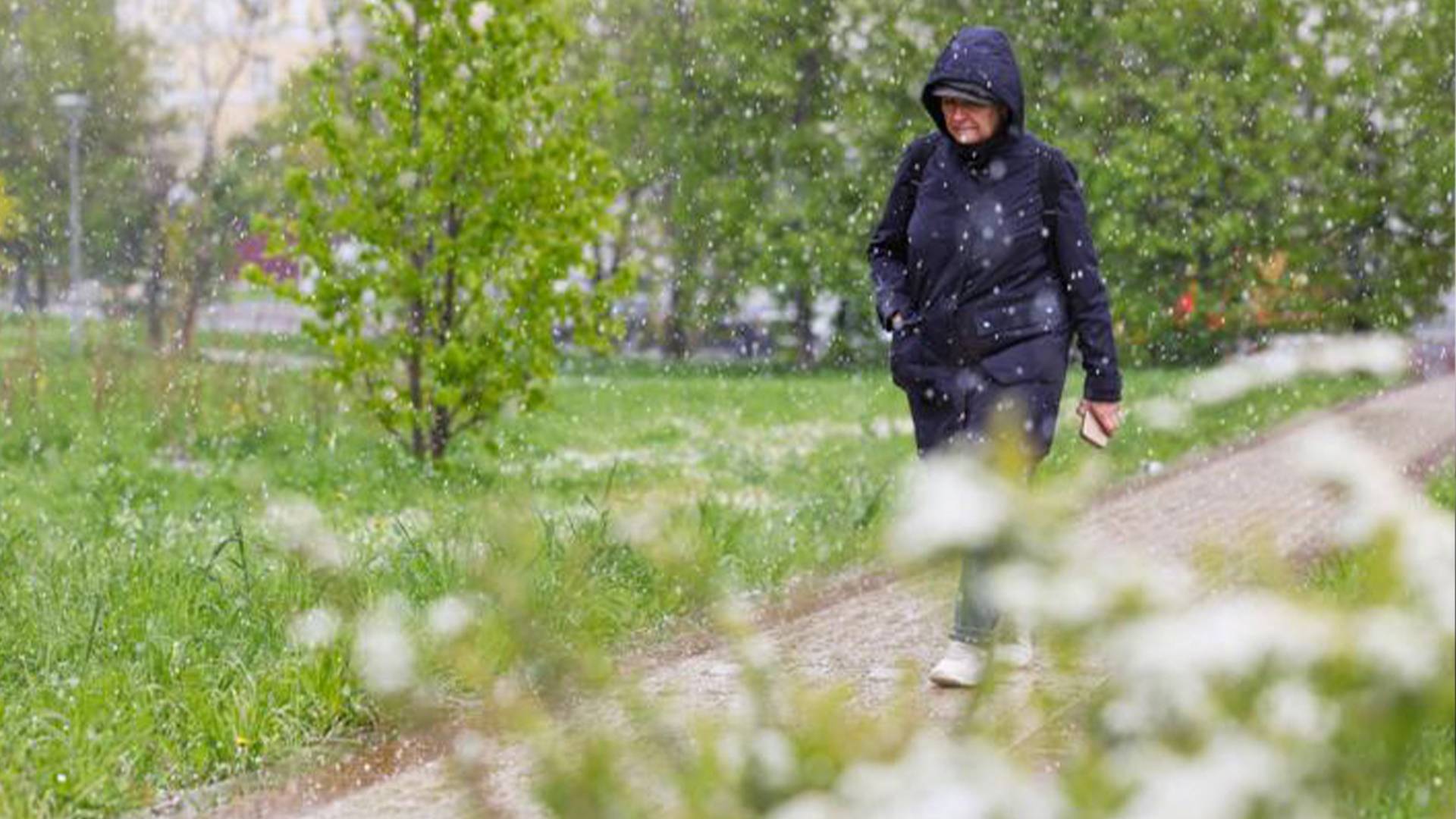 Морозы придут в Москву, снегопад накроет Петербург. Начало весны в России