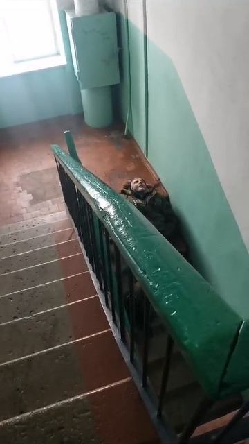 ВОТ ТАК УПАДЁШЬ И НИКТО НЕ ПОМОЖЕТ. все будут записывать, ржать, пока не умрёшь. Расчеловечивание.
