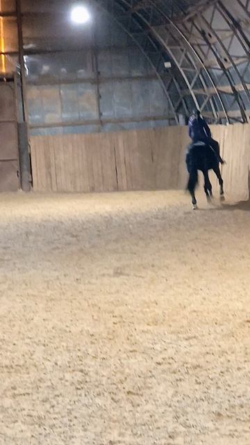 Оксана Новикова и Дольче Вита, самостоятельная работа. #horse, #equestrian, #лошади, #pony