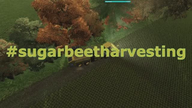 Farming Simulator 22 Эпичная уборка сахарной свеклы!