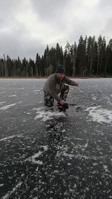 Карельская щучка🦈