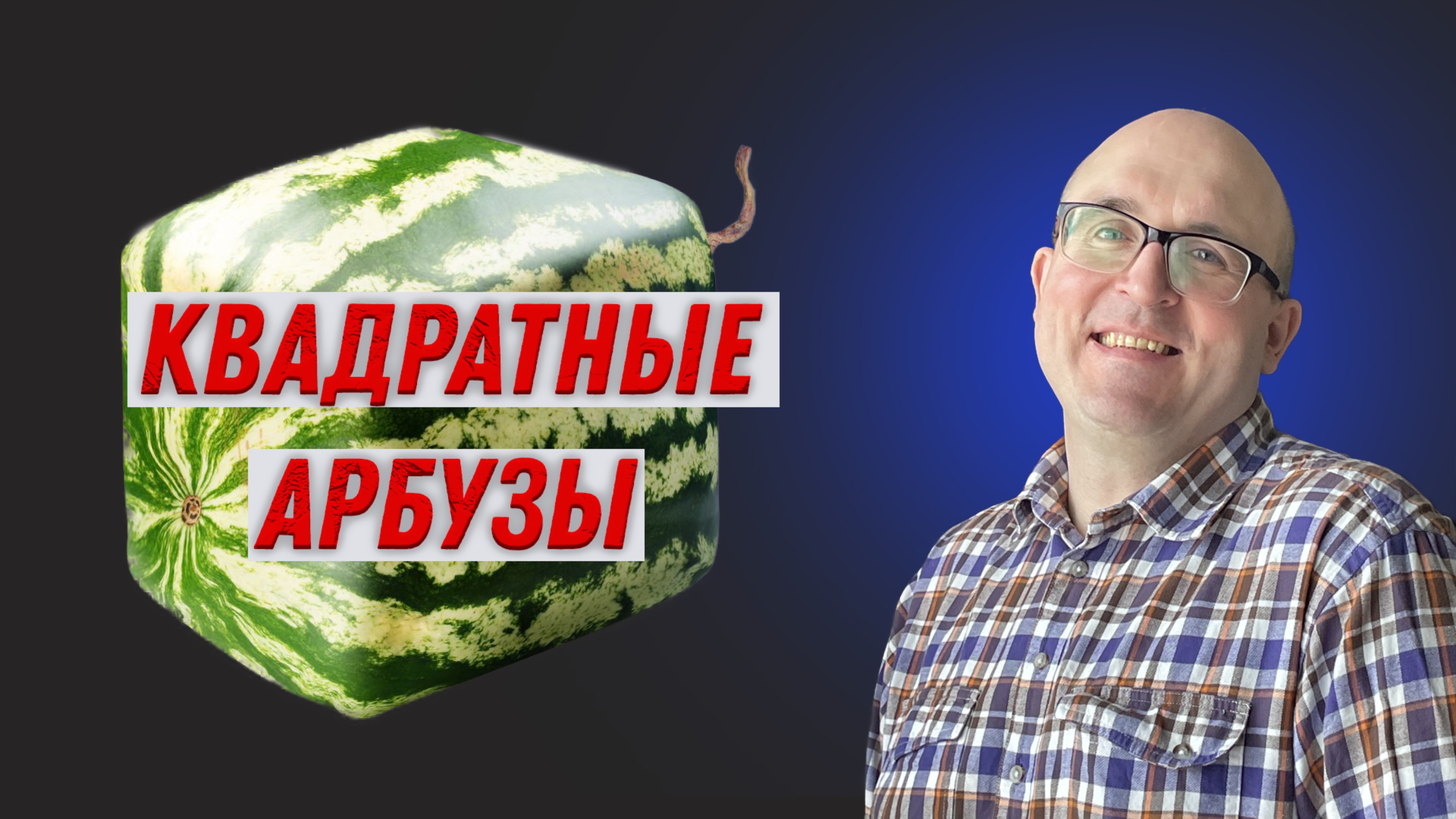 Виктор Макеев. Квадратные арбузы.