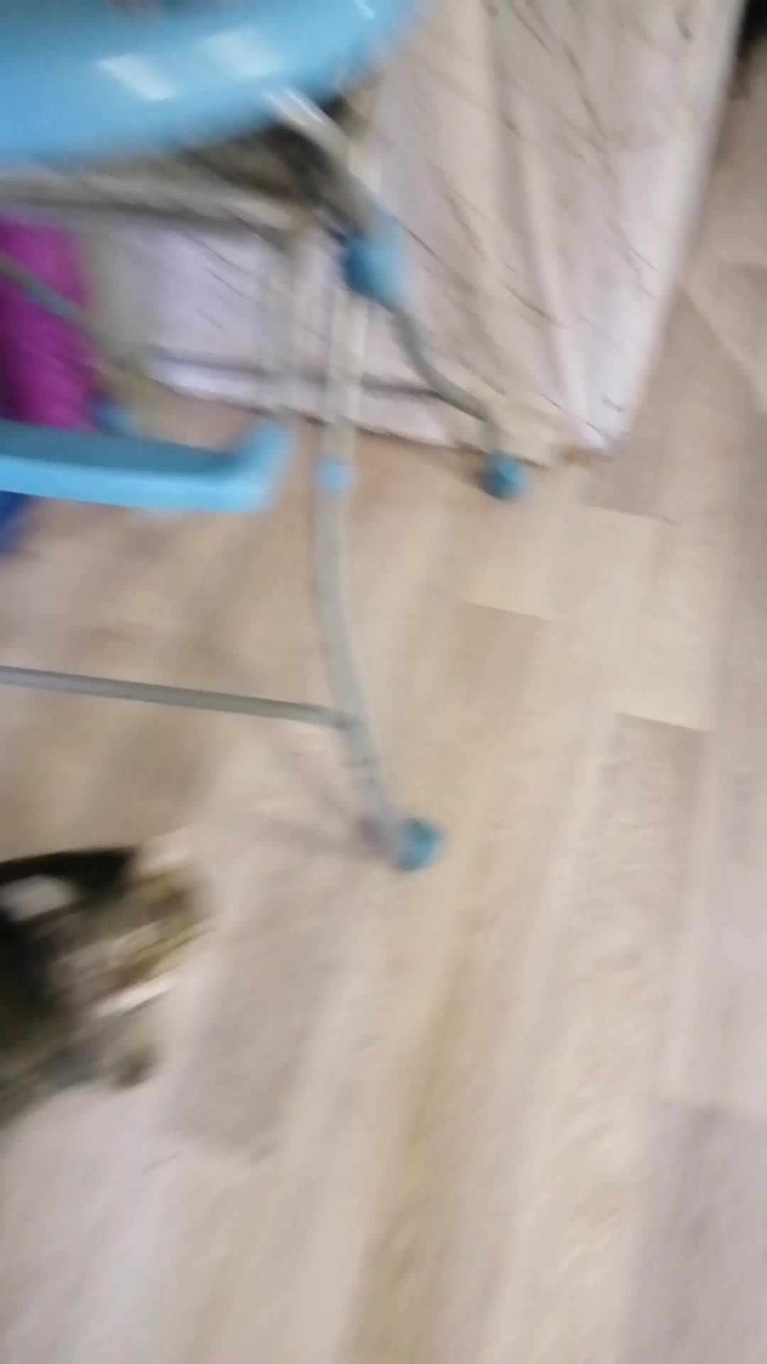 o(〃＾▽＾〃)o