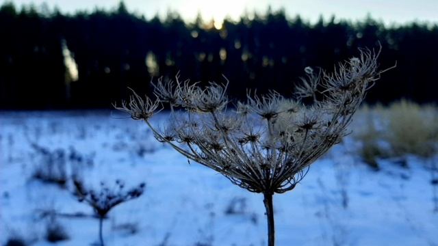 01-03-2025 1Марта. Первый день весны..... Солнечный, тёплый день...  Раннее утро.