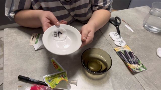 1.03.25 Посадка баклажан, перца острого и сладкого
Сеем баклажаны , перец острый и сладкий