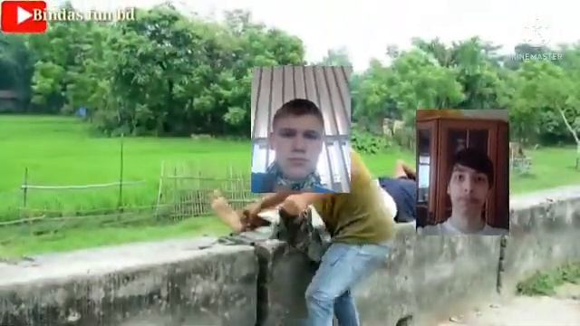 Кабани знайшли розваги
