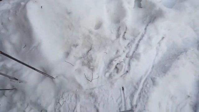 Продаю молдинги, капот задний ЗАЗ 968 запчасти