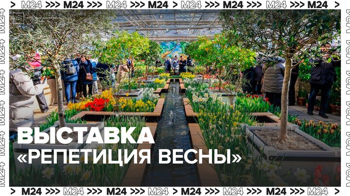 Выставка "Репетиция весны" вызвала ажиотаж среди москвичей - Москва 24