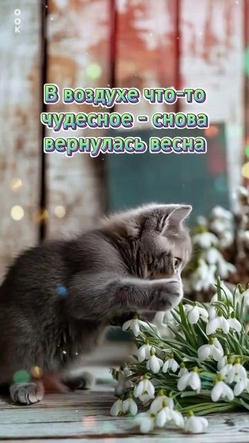 С первым днём весны!