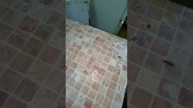 ТАРАҚАНДЫ ДӘРІЛЕУ НӘТИЖЕСІ 👍 ДЕЗИНСЕКЦИЯ ДЕЗИНФЕКЦИЯ АСТАНА АЛМАТЫ,ШыМКЕНТ, КАНАЛҒА ТІРКЕЛІҢІЗ 🇰🇿🇰🇿