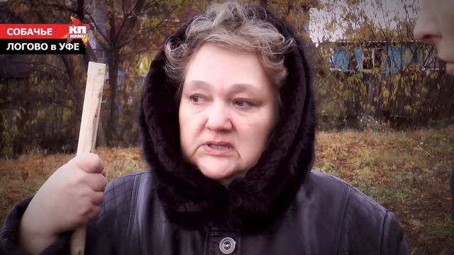 Стая собак, убившая мальчика в Уфе, испробовала крови еще 4 месяца назад