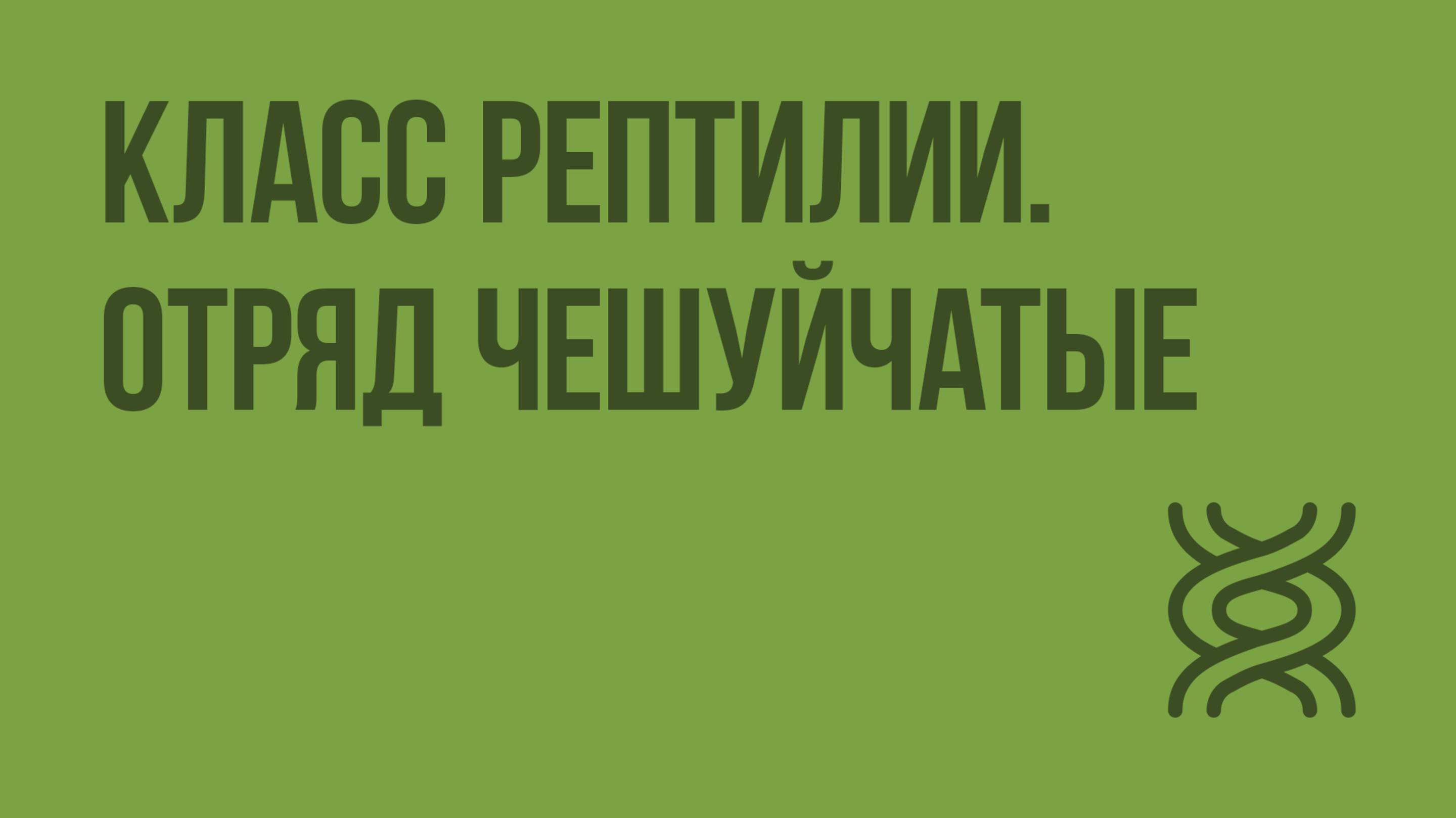 Класс Рептилии. Отряд Чешуйчатые. Видеоурок по биологии 7 класс