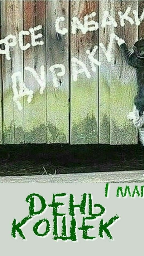 Коты так думают