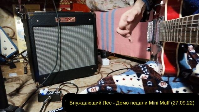 Блуждающий Лес - Демо педали Mini Muff (27.09.22)