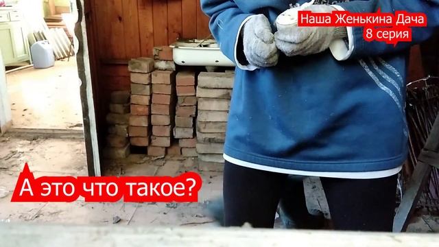 Наша дача. Женькина дача. 8 серия.