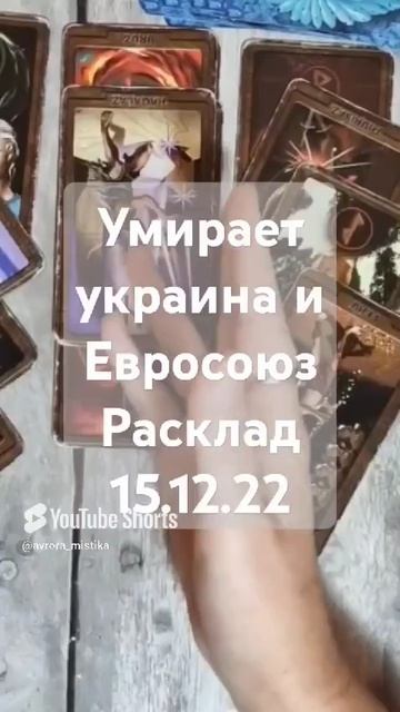 Видео WhatsApp 2025-03-01 в 09.03.22_3108bb83