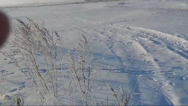 Будни егеря. Первый день весны. 1.03.35.