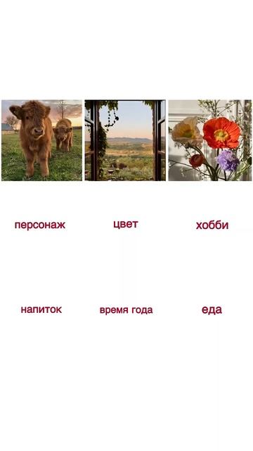 как меня видит Pinterest ♂️