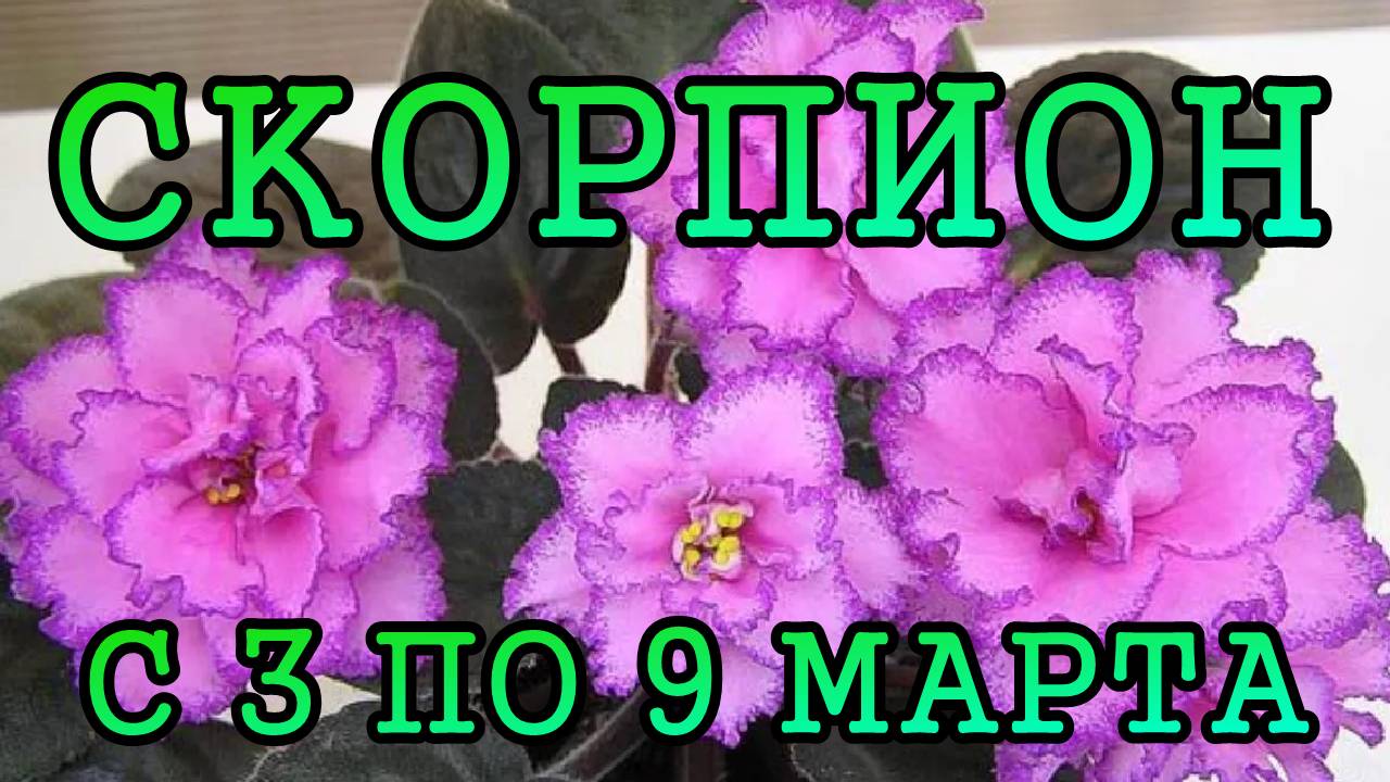 СКОРПИОН таро прогноз на неделю с 3 по 9 МАРТА 2025 года.
