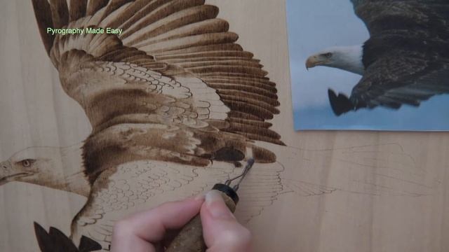 Wood Burning Art -  SOARING BALD EAGLE - pyrography time lapse