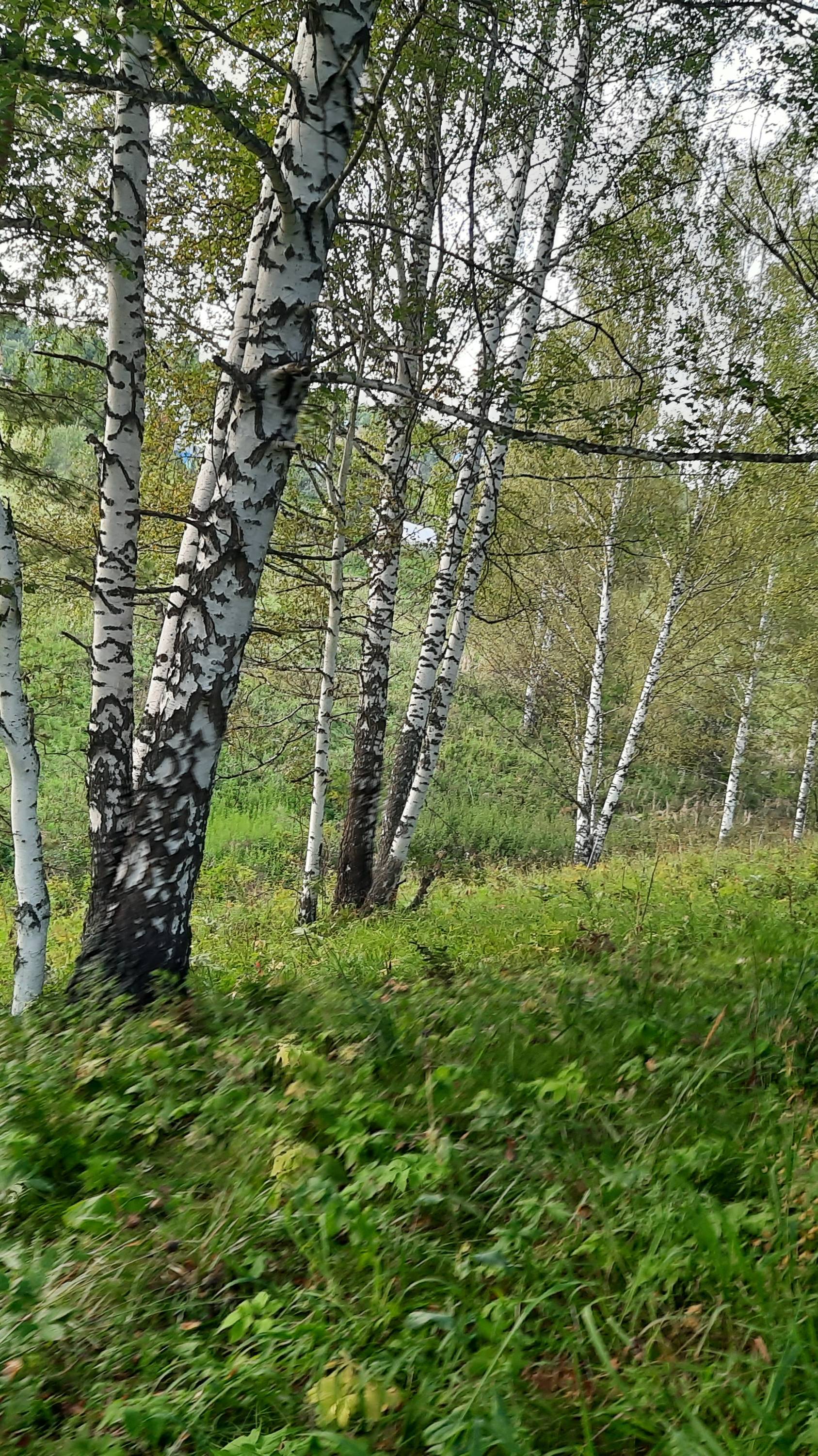 Дача СНТ Березка, с. Терагай