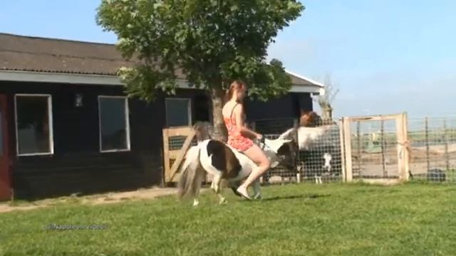 Girl Enjoying riding a Pony(1)