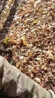 Верный друг и талисман 69 обрп 35 армии группировки Восток с позывным Катюх