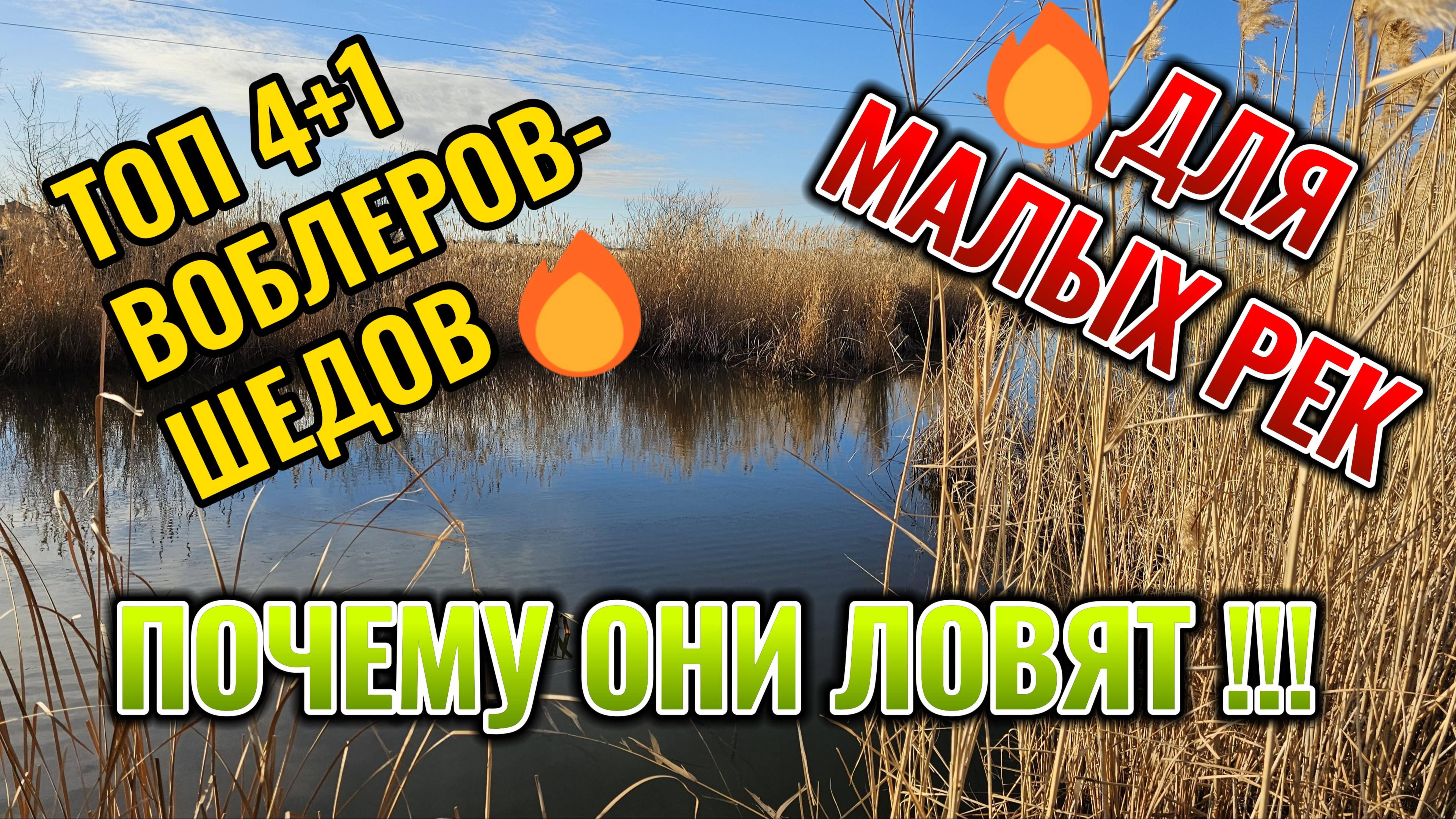 Топ 4 + 1 шедов, для малых рек, почему они ловят?