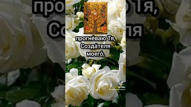 СЛАВА ТЕБЕ ХРИСТУ БОГУ МОЕМУ!