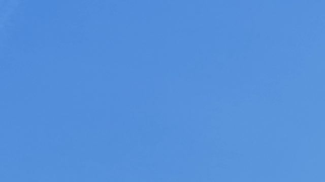1.03.2025г Белый Вернулся с Ночной смены 👍👍👍