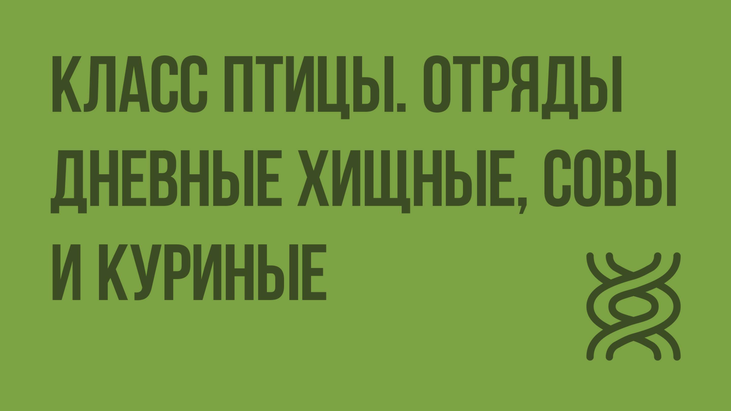 Класс Птицы. Отряды Дневные хищные, Совы и Куриные. Видеоурок по биологии 7 класс