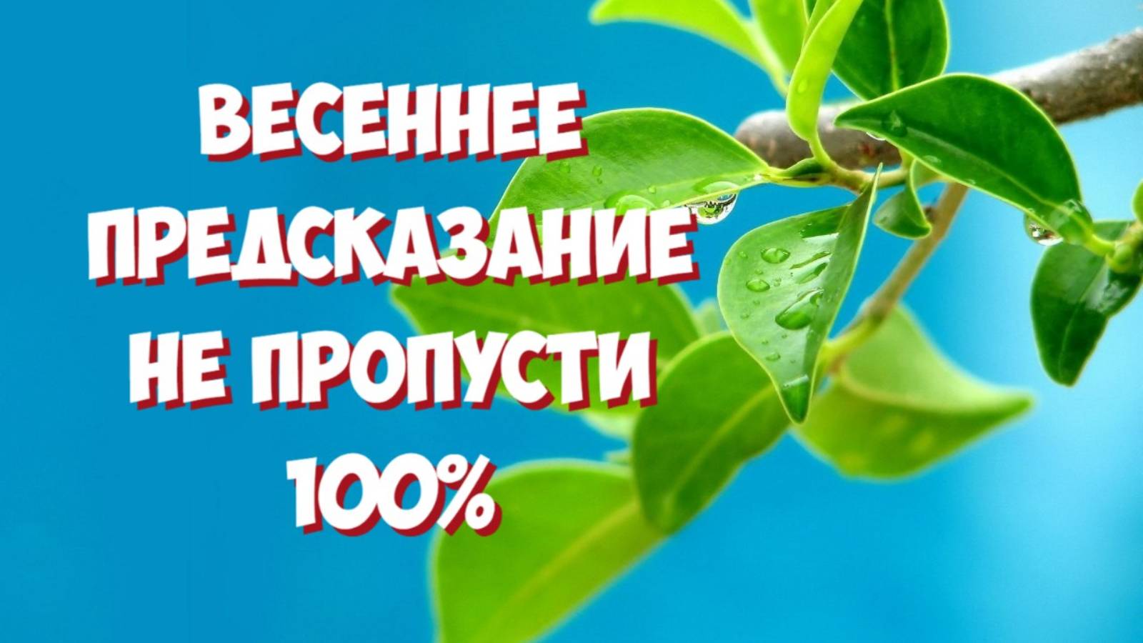 Стрельцам — отказаться от отпуска, Скорпионам — рост доходов: гороскоп по знакам Зодиака на весну