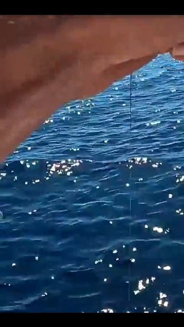 Сосисочный джиг🎣🌭🤣