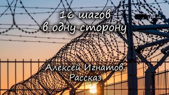 16 шагов одну сторону. Алексей Игнатов. Рассказ