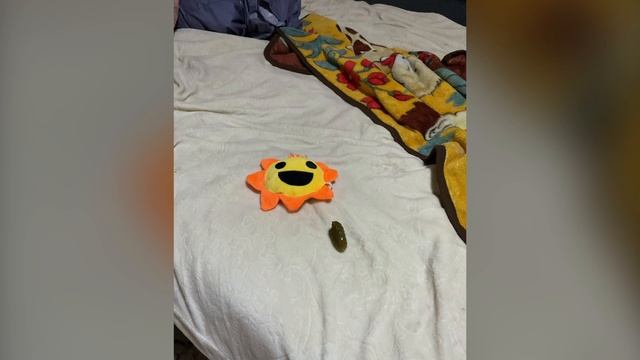 Игра начинается