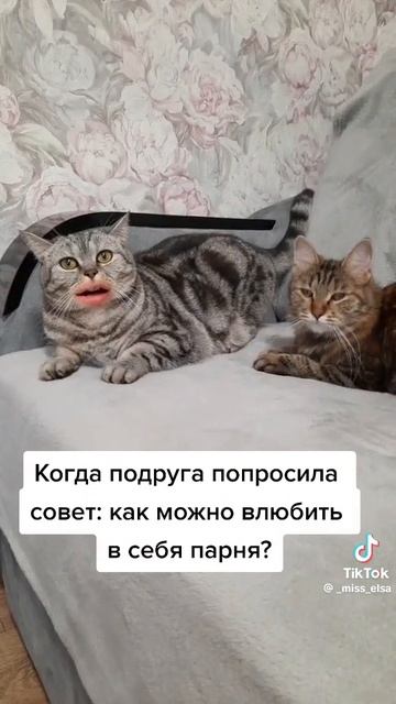 Как влюбить в себя парня