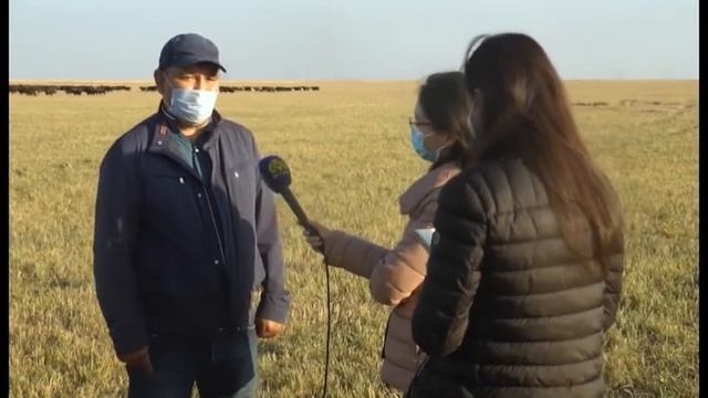 На мукомольном комбинате в Тимирязевском р-не наладили полный цикл производства