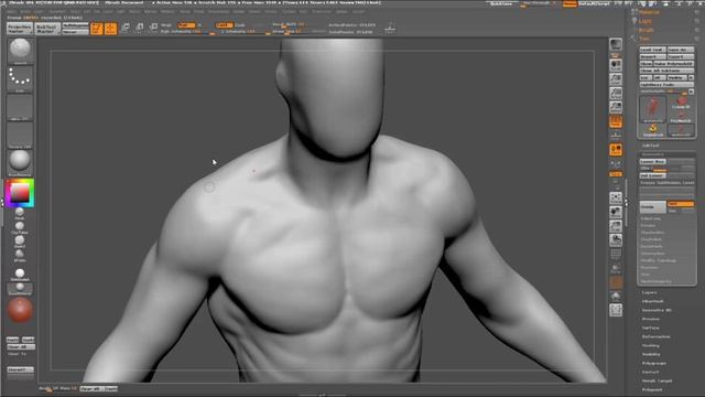 anatomy02_torso_back