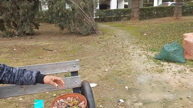 ПРОЩАЙ НАВСЕГДА  цветы забери🤣🤣🤣