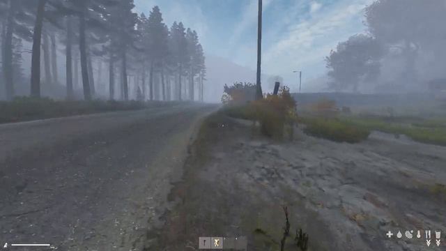 Dayz running bug