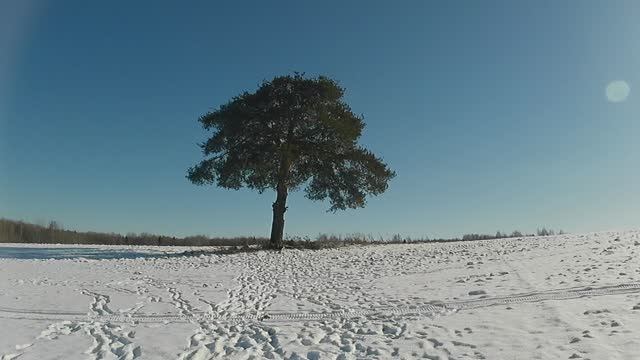 Another sunny winter day